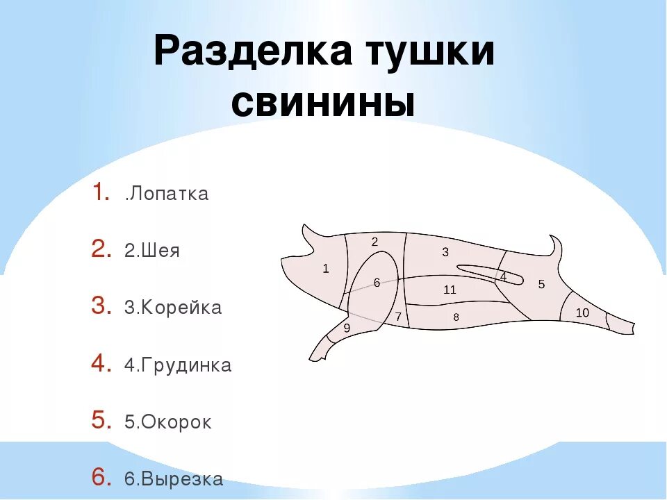 Свинья разделка туши схема. Схема разруба туши свинины. Схема разделки свиной туши. Схема разруба полутуши свинины. Части свиньи названия