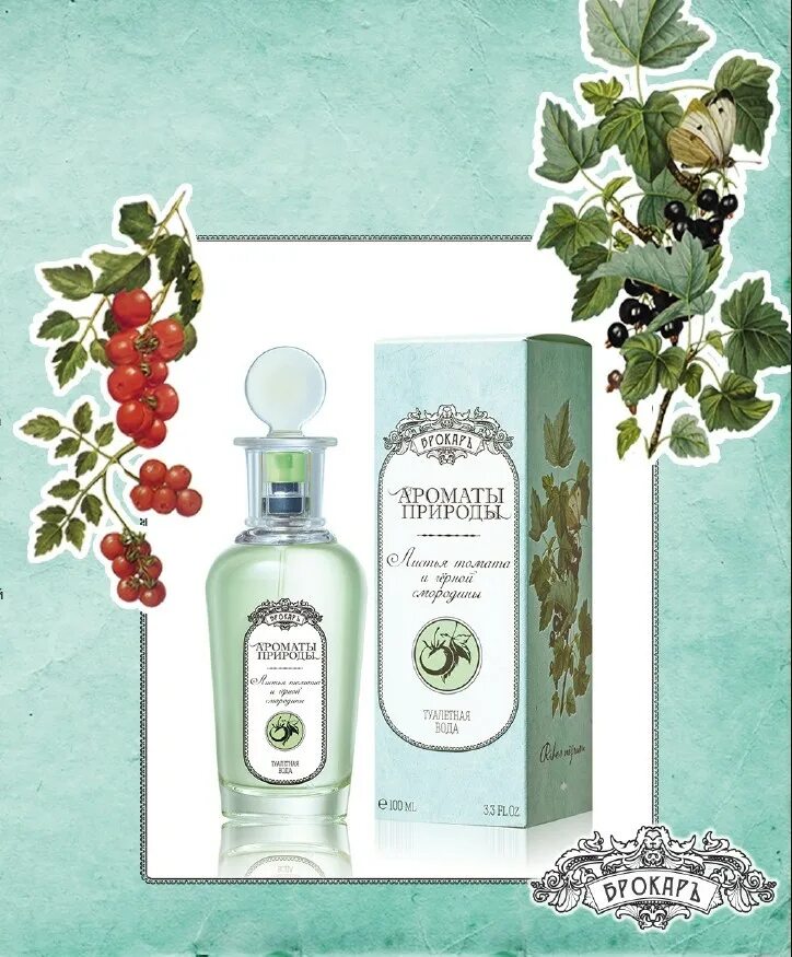 Brocard листья томата и черной смородины. Аромат осени. И был аромат у опавшей листвы чуть. Брокард парфюм ароматы природы. Аромат листвы.