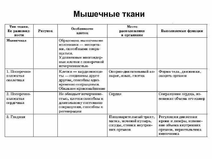 Заполните таблицу ткани человека. Таблица микроскопическое строение тканей. Изучение микроскопического строения ткани биология 8 класс. Строение тканей человека таблица. Изучение строения ткани таблица.