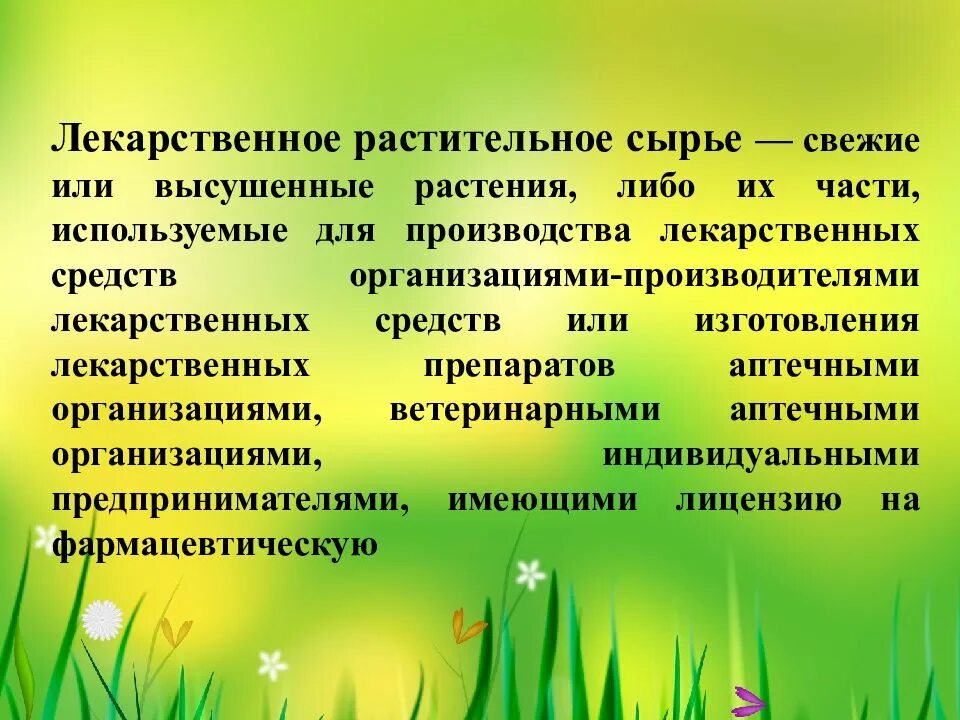 Правила безопасности растительного сырья. Лекарственное растительное сырьё. ЛРС растения. Заготовка лекарственного растительного сырья. Порядок хранения лекарственных растений.