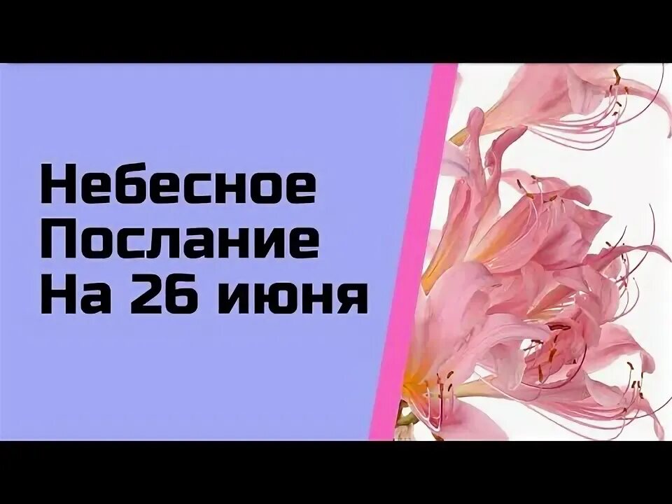 15 26 послание. 15 26 послание