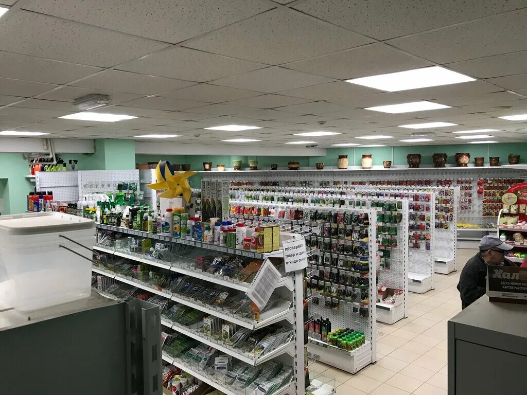 дачник канищево