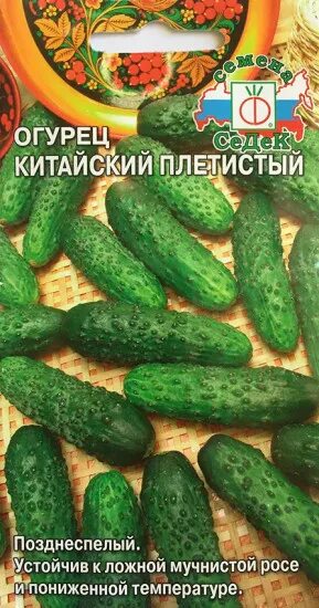 Хороший сорт огурца китайский. Хороший сорт огурца китайский. Огурец китайский жароустойчивый f1 /сем. Огурец китайский фермерский f1. Огурец китайский император f1 отзывы.