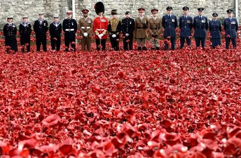Remembrance day