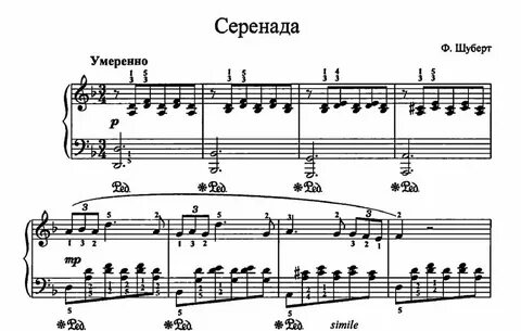 Шуберт ночная песнь