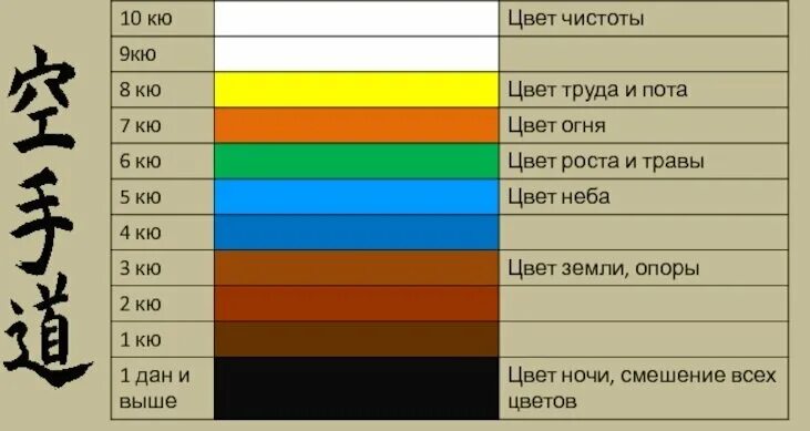 Какой самый лучший пояс в карате. Приёмы на оранжевый пояс по дзюдо 2025.