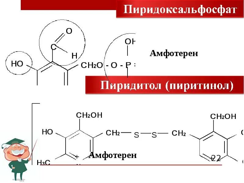 Производные дигидропиридина. Производные дифенилпиперазина. Реакции с пиридоксальфосфатом. Пиридоксальфосфат (производное витамина в6).