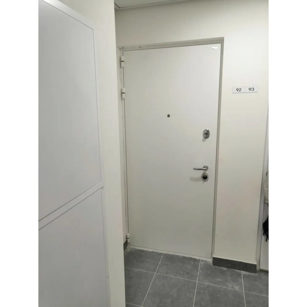 Входная дверь БП - 3 NX 2 (White Ash). Белая входная дверь. Белая входная дверь в квартиру. Дверь входная металлическая белая.