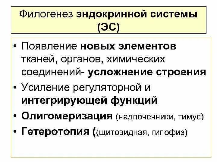 Филогенез органов. Филогенез эндокринной системы. Основные этапы филогенеза эндокринной системы.. Эволюция развития эндокринной системы. Филогенез эндокринной системы. Функция эндокринной системы..