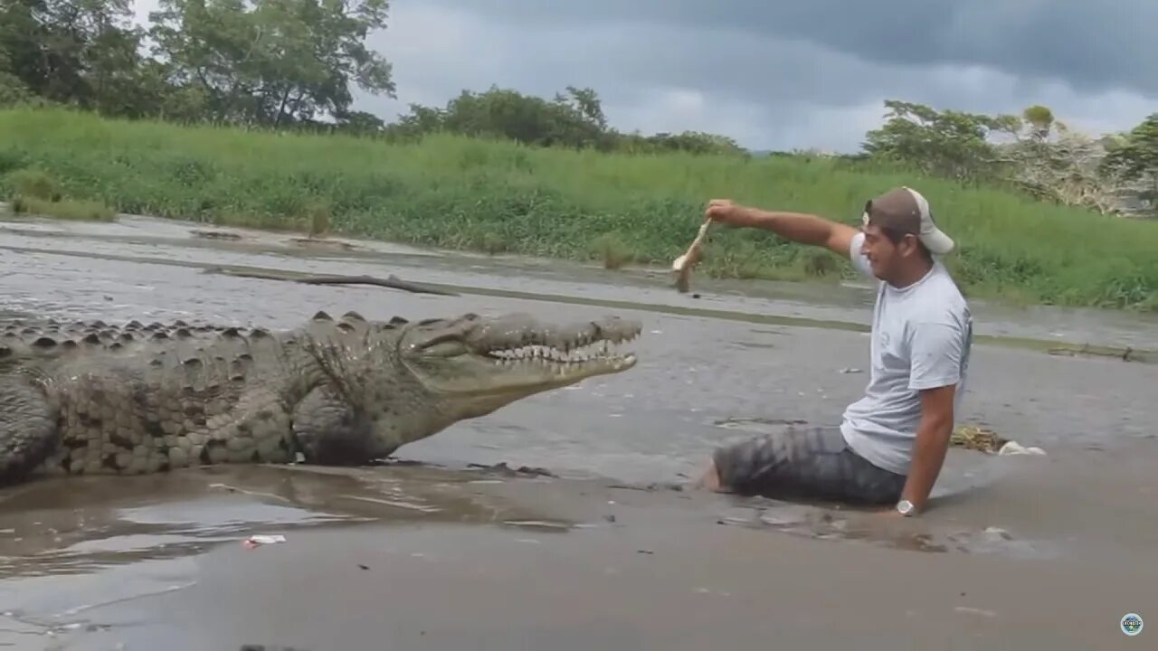 Любых людей видео