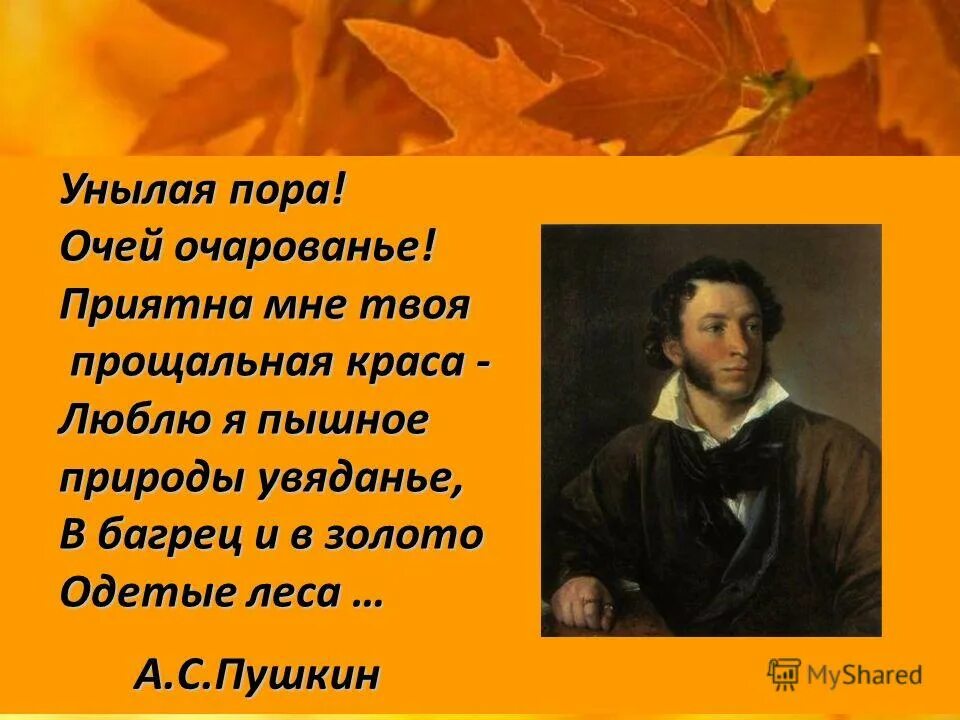 Тема осени пушкина. Пушкин унылая пора очей очарованье стих. А.С. Пушкина «унылая пора! Очей очарованье!..»,.