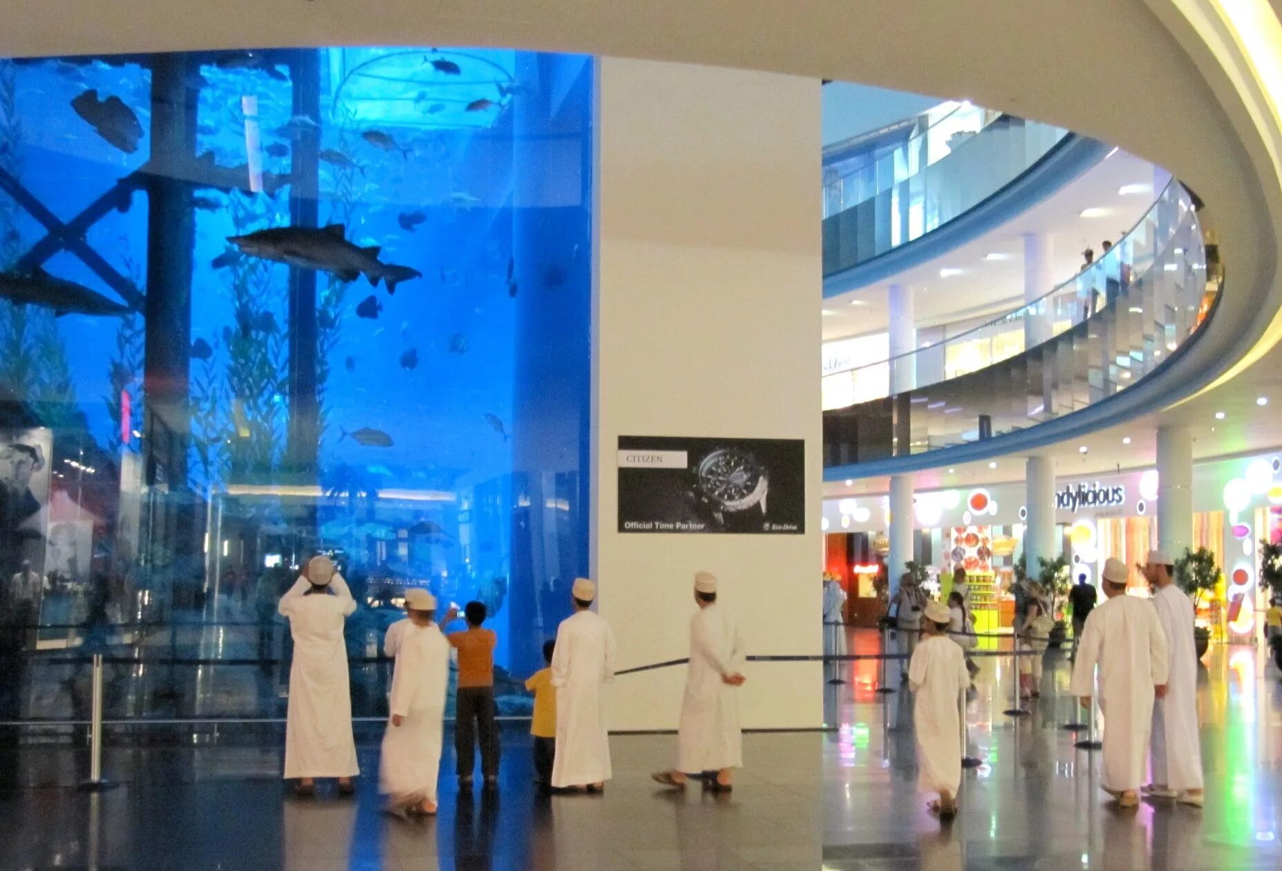 Дубай молл список магазинов. Аквариум "Dubai Mall" (ОАЭ, Дубай). Дубай Молл (Dubai Mall). Торговый центр Дубай Молл. Дубай торговый центр Дубай Молл аквариум.