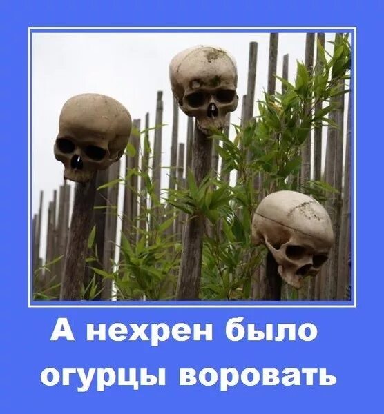 Ваша не знает границ