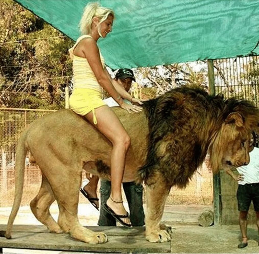 Укрощать льва. Самые необычные зоопарки. Девушка со львом в зоопарке. Животные сношениях с людьми. Женщина верхом на животных.