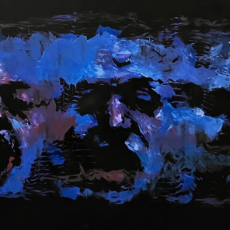 портрет. лиза меркалова иллюстрации. ван гог за тушенку.