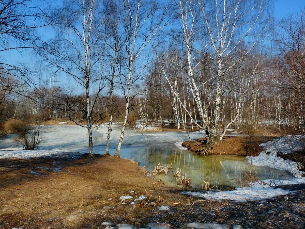 Апрель картинка для детей. Весенний пейзаж.