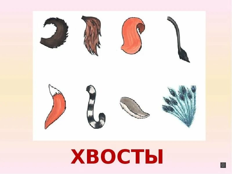 Хвосты животных для детей. Чей хвост. Хвост рисунок. Хвост картинка для детей. Чьи лапки