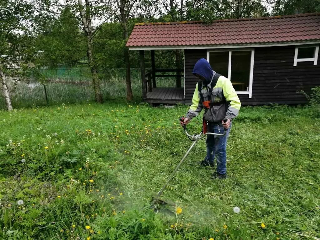 Покос травы триммером цена за сотку. Покос травы. Покос травы на участке. Услуги покоса травы. Покос триммером.