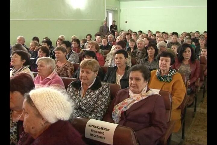 Глава Ильского городского поселения Северского района. Ильская администрация. Ильское городское поселение. Администрация пгт Ильский.