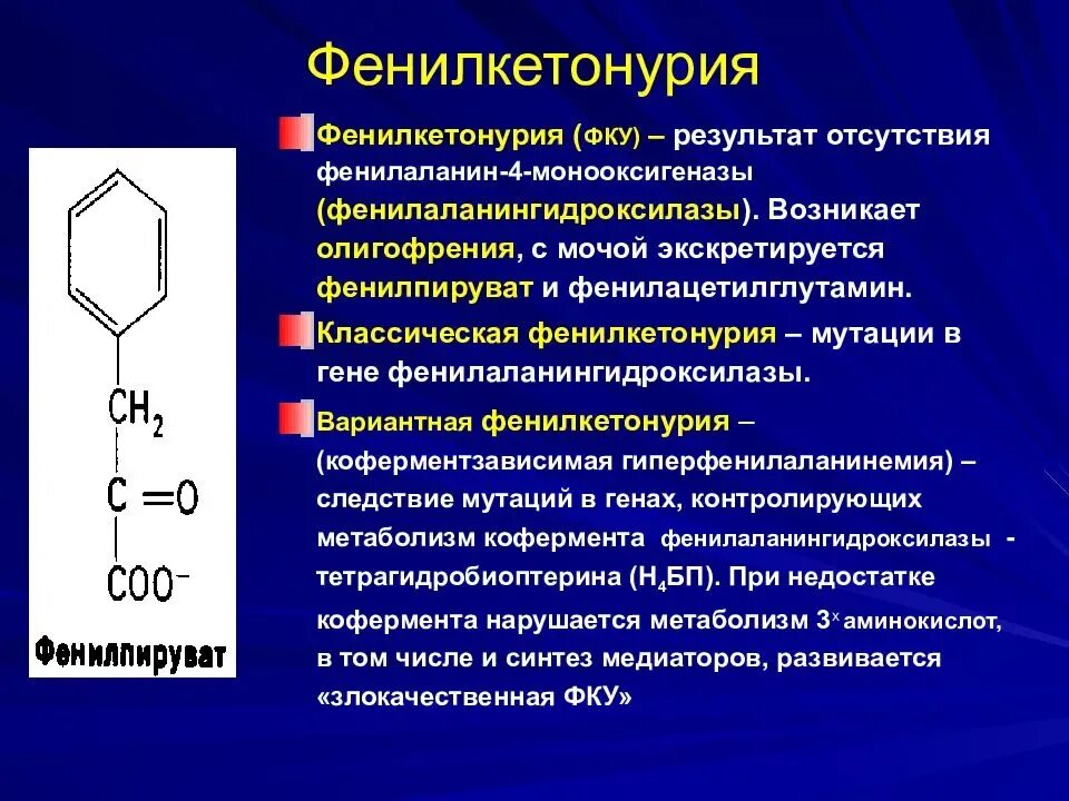 Фенилкетонурия моногенное заболевание возникающее в результате. Фермент расщепляющий фенилаланин. Отсутствие фермента фенилаланин 4 гидроксилаза. Тирозин фенилаланин фенилкетонурия. Симптомы фенилкетонурии биохимия.