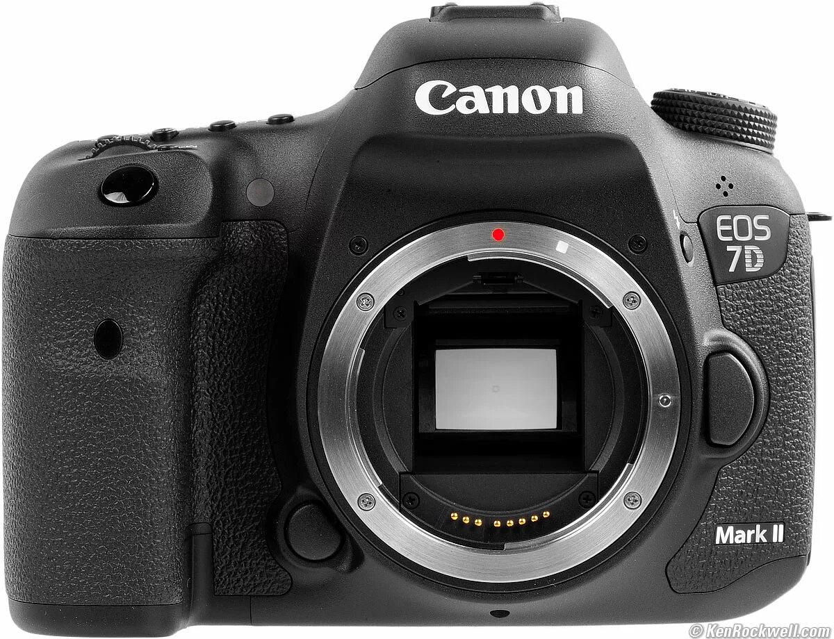 Canon mark ii отзывы. Canon 7d Mark II. Canon EOS 7d. Canon EOS 7d Mark II Kit. Canon EOS 7d body.