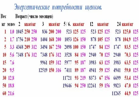 Сколько еды нужно собаке по весу