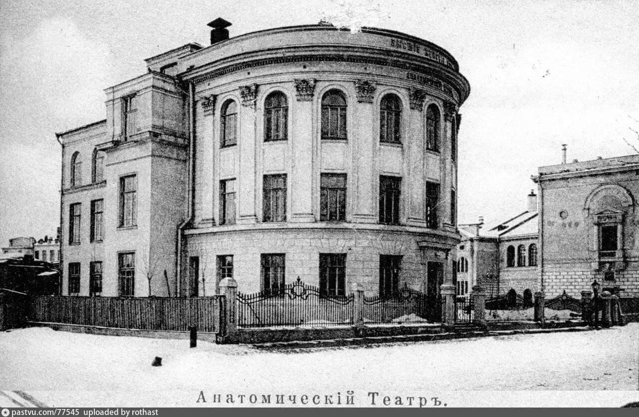 Высшие курсы герье. Анатомический театр лейденского университета. высшие женские курсы герье в москве. анатомический театр в москве в 1819. московский государственный педагогический институт им в.и ленина.