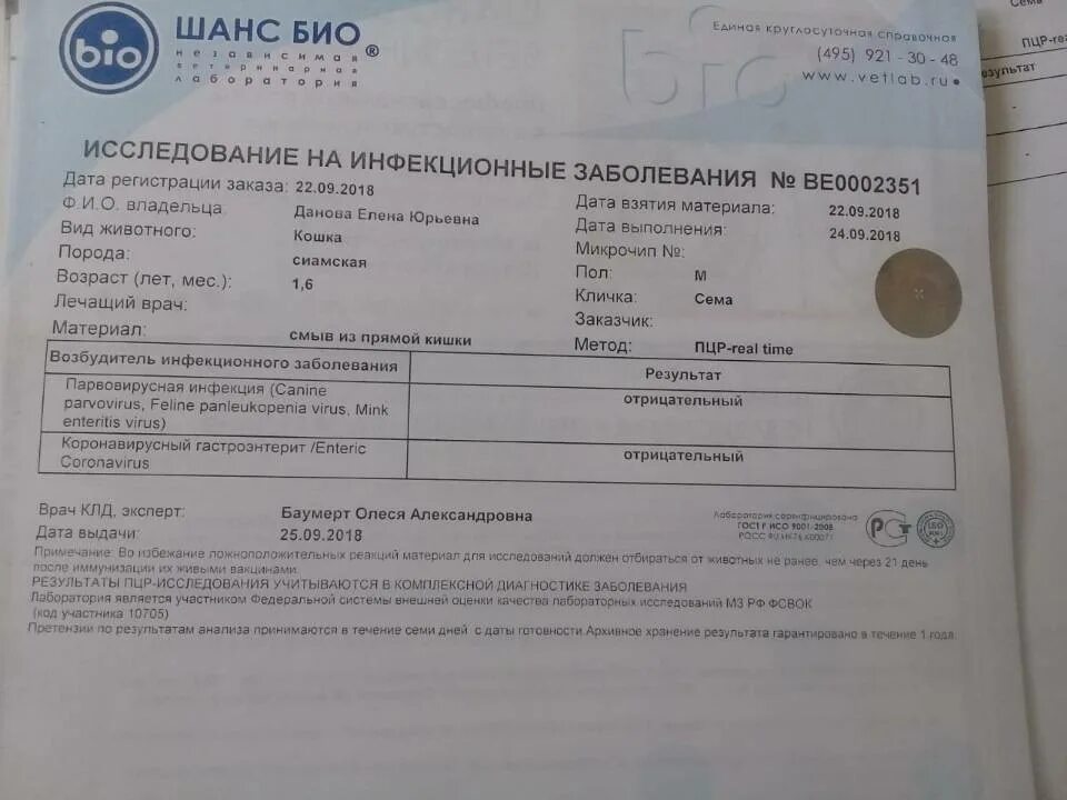 Нужно ли сдавать тест повторно. Тесть на картона вирус палажительный. положительный тэст на корновирус. положительный тест на коронавирус. отрицател ныйтестна коронавирус.