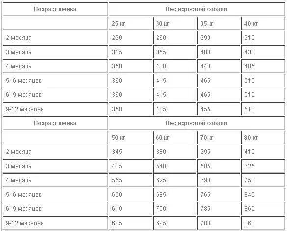 Норма корма для щенка шпица 3 месяца. Таблица кормления щенка корги. Норма сухого корма для щенка корги 6 месяцев. Сколько корма давать щенку в 6 месяцев. Кормление взрослой собаки