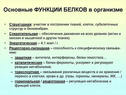 Функции первичных и вторичных белков