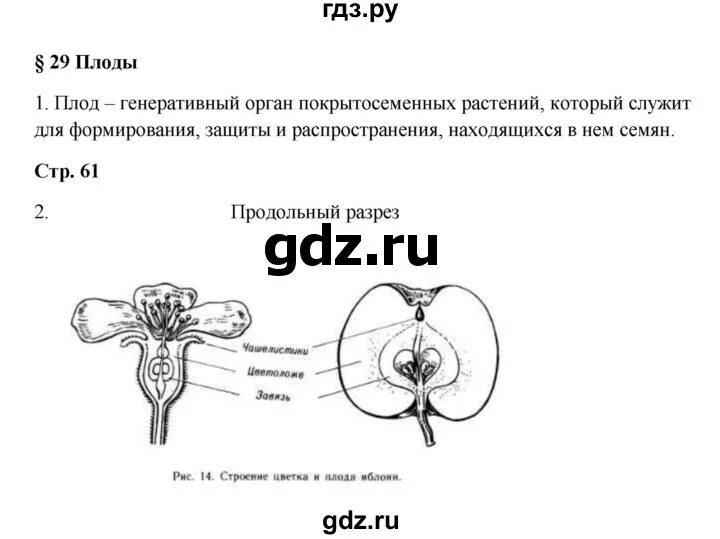 Биология 29 9 класс. Биология 7 класс рабочая тетрадь Пасечник. Биология 7 класс рабочая тетрадь Пасечни. Гдз по биологии 7 класс рабочая тетрадь Пасечник. Биология параграф 29 7 класс.