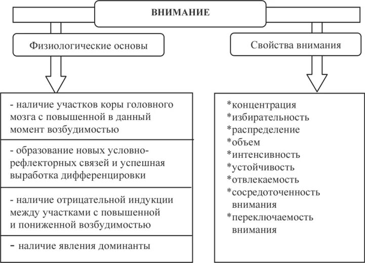 Развитие функции внимания. Физиологические основы внимания в психологии. Внимание физиологические основы внимания. Физиологические механизмы внимания в психологии кратко. Физиологические основы процессов внимания.