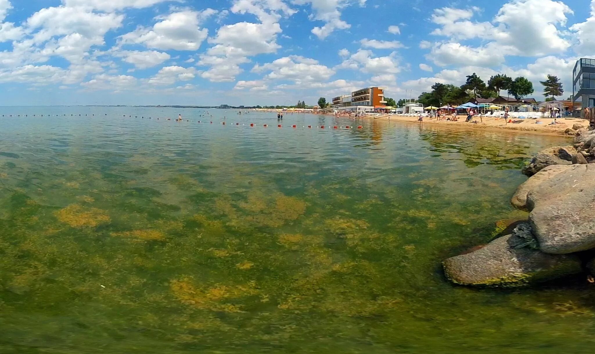 Цветет ли анапа. Цветение моря в Анапе. Анапа море цветет. В Анапе зацвело море. Водоросли в черном море в Анапе.