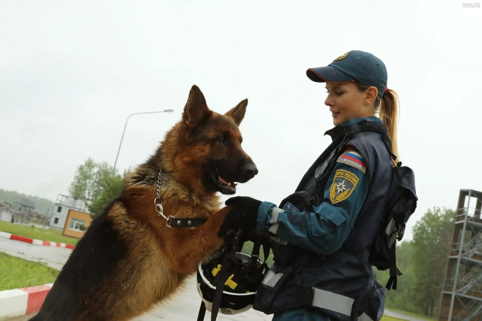 Кинолог спасатель. Кинолог спасатель. Кинолог спасательтмчс. Кинолог спасатель. Мчс россии кинология.