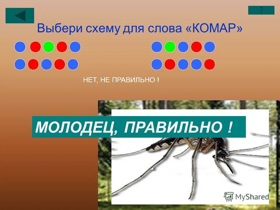 Графическая схема слова пчела. Комар звуковая схема. Схема слова комар. Комар слово. Схема слова ком