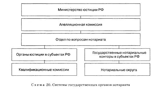 Структура нотариальных органов РФ. Структура нотариата схема. Система органов нотариата в РФ схема. Структура нотариата в РФ. Органы государственного нотариата в рф