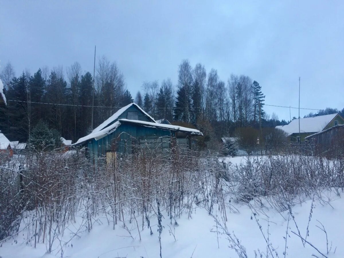 Коттедж на берегу малуксы. Малукса магазин. Квартир малукса. Поселок старая малукса. Ул солнечная омск.