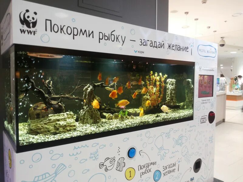 Покорми рыбок. Покорми рыбок. Торговый центр с аквариумом и рыбками. Аквариум покорми рыбок. Аквариум покорми рыбок.
