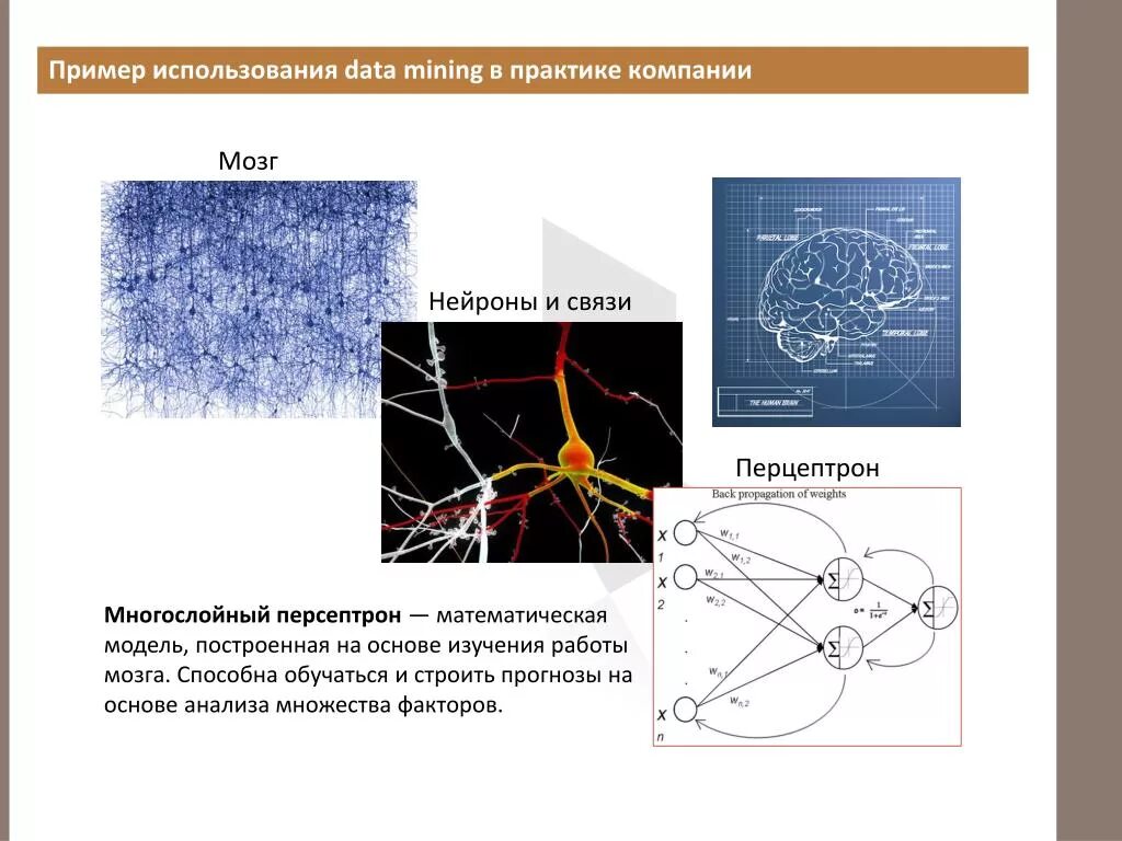 Персептрон математическая модель. Математическая модель звезды. Интерактивная математическая модель. Математическая модель почки. Математическая модель применение