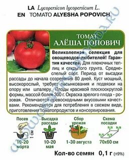 Алеша отзывы