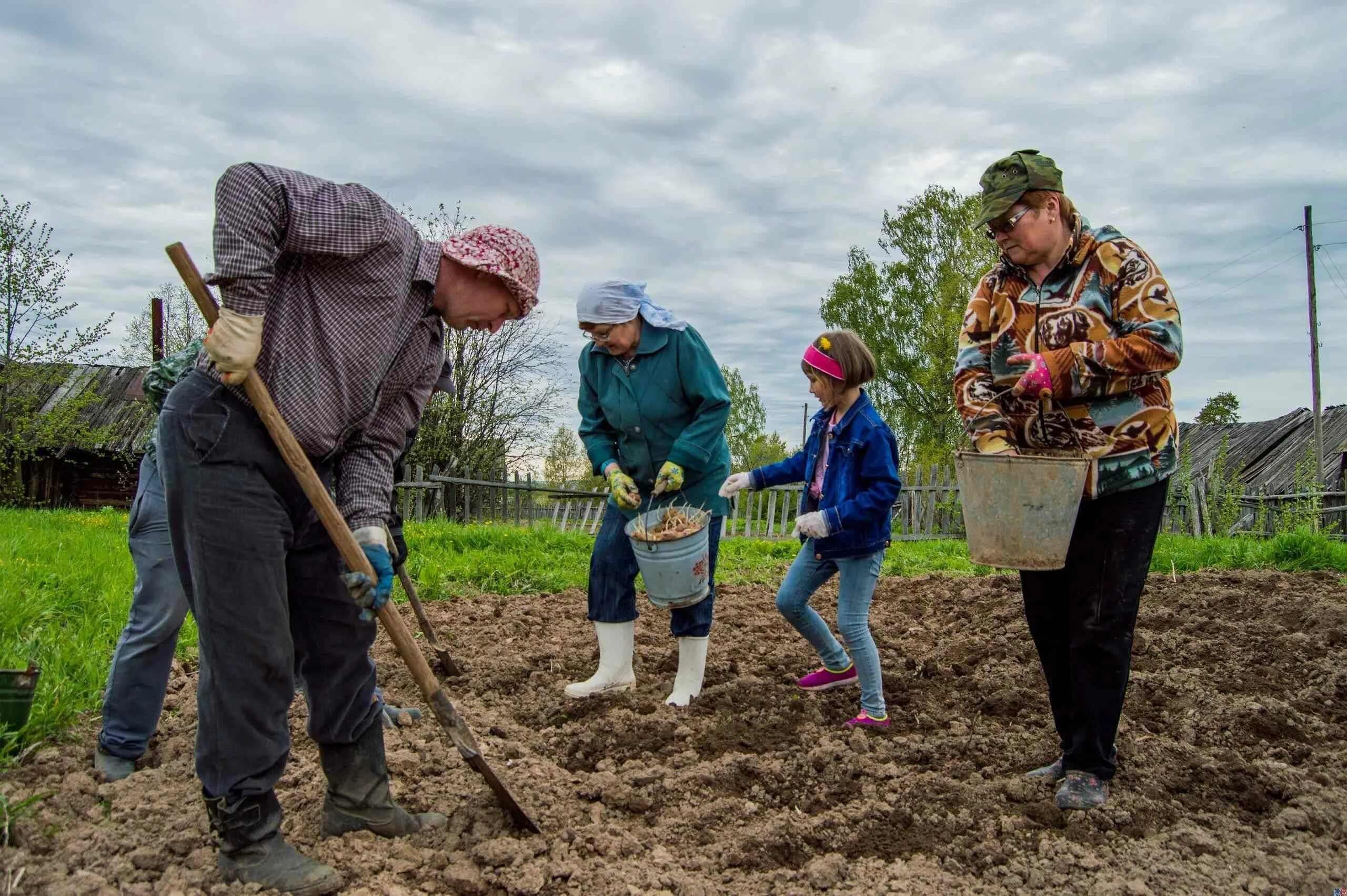 Работа людей весной. Труд в огороде. Работа в огороде. Сажать картошку. Люди на огороде.