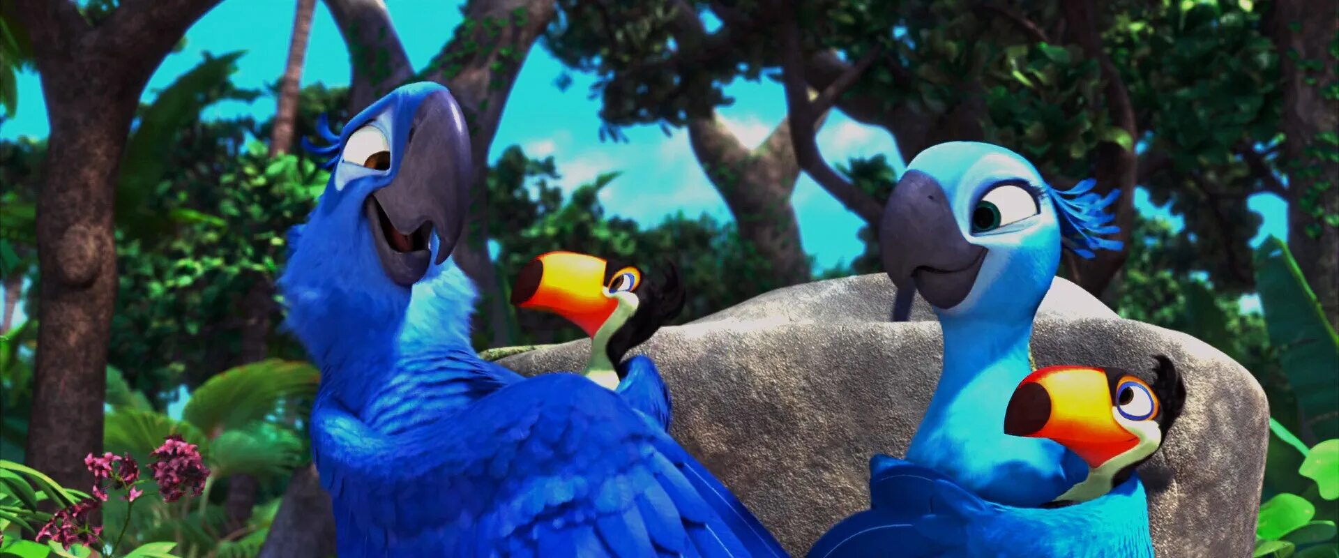 Рио / Rio (2011) Голубчик и Жемчужинка. Тукан Rio 2. Рио rio 2011