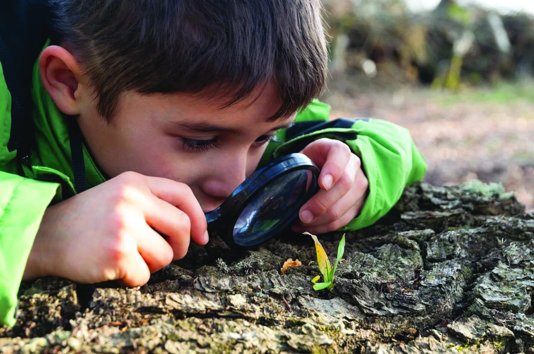 Наблюдение живая природа младшая. Дети изучают природу. Ребенок наблюдает. Ддетти наблюдают за природой. Изучение природы.