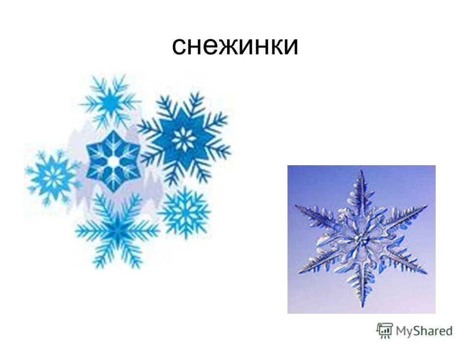 Центральная симметрия новогодняя. Симметрия снежинок геометрия. Геометрическая симметрия в природе. Центральная симментри. Зеркальная симметрия снежинка.