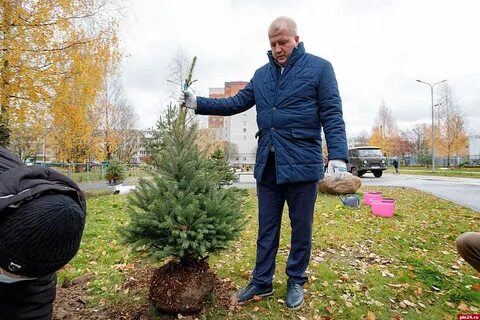 Выплаты псков