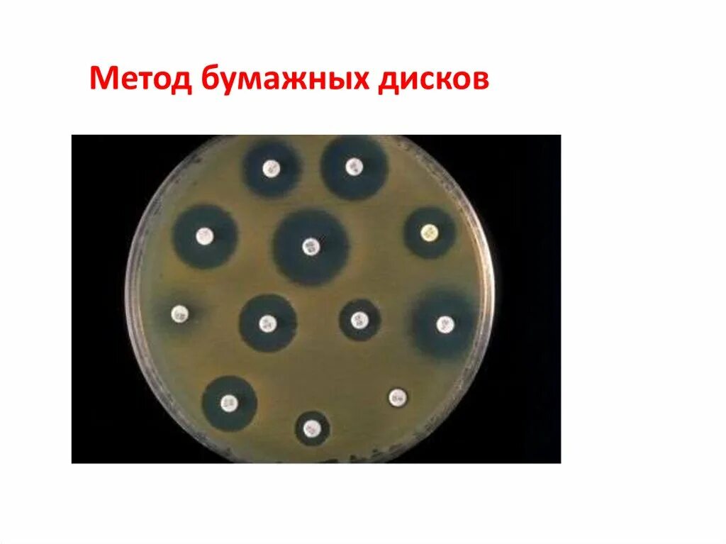Диско диффузного. Диско диффузионный метод микробиология. антибиотикограмма диско-диффузионный метод. диско диффузный метод антибиотики. дискодифыкзионныц метод.
