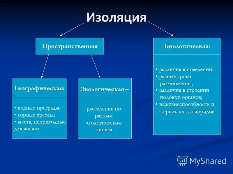 Изоляция виды изоляции. Виды изоляции пространственная. Типы изоляции в биологии. Виды изоляции. Факторы изоляции.