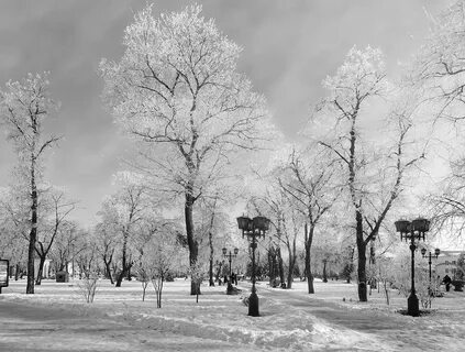Снег в городском саду