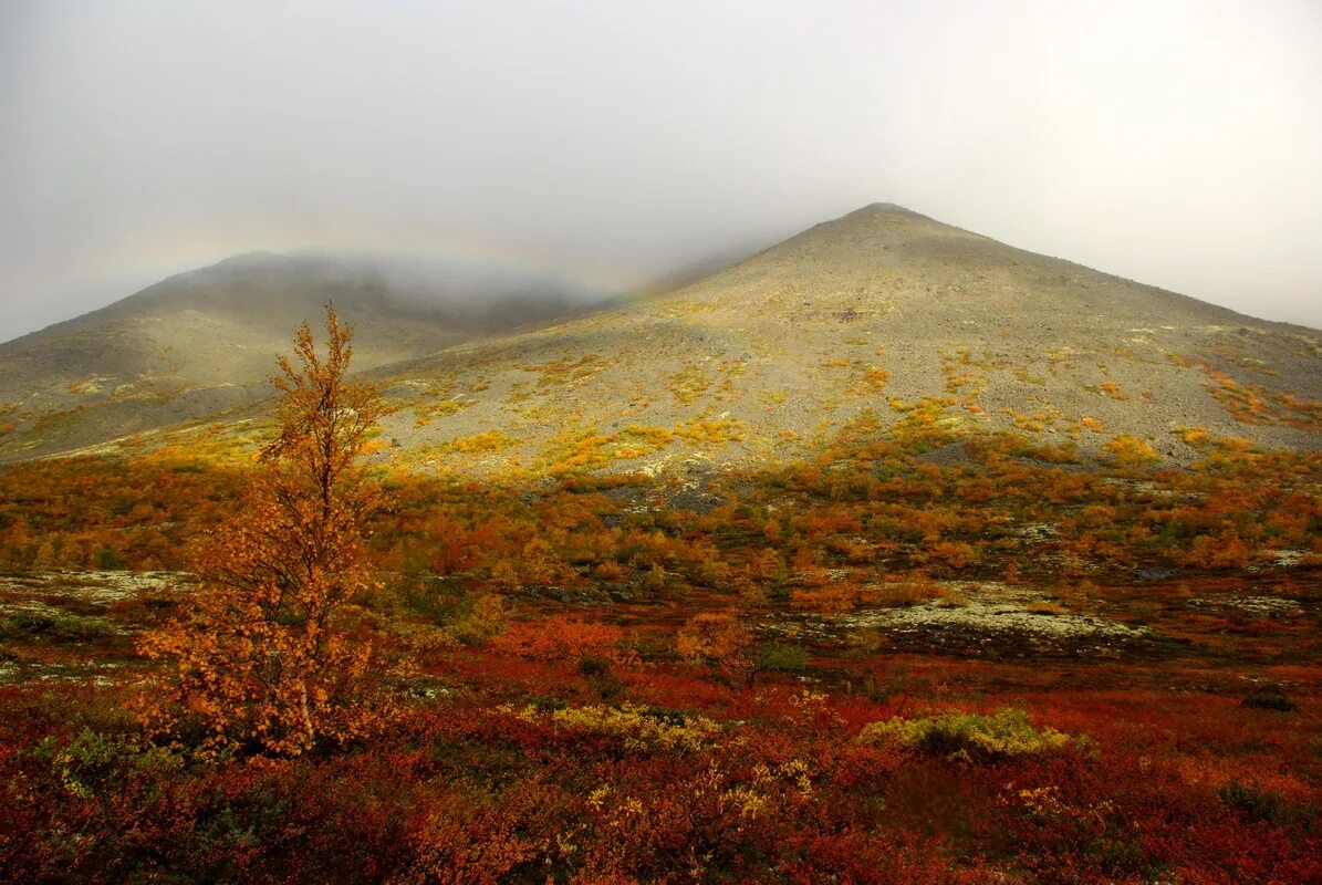 хибины на карте. хибины на карте россии. хибины горы географическое положение. горы хибины наивысшая точка. хибины высокая гора.
