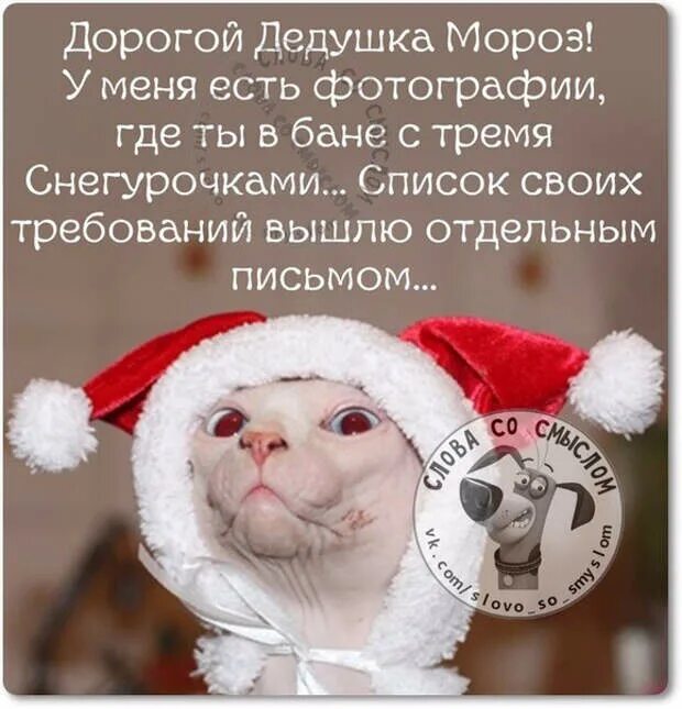 Мороз цитаты. Новогодние советы смешные. смешные цитаты про новый год. афоризмы к новому году. новогодние картинки с цитатами.